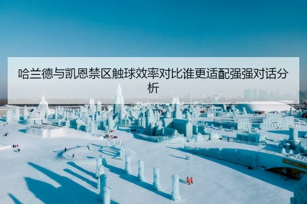 哈兰德与凯恩禁区触球效率对比谁更适配强强对话分析